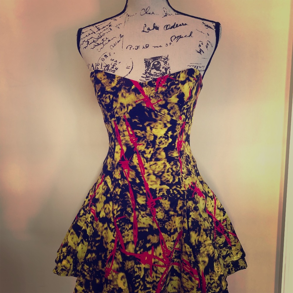 Bebe fit and flare dress